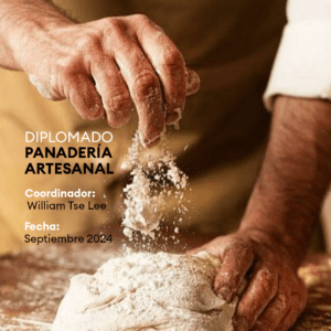 Diplomado. Panadería artesanal.