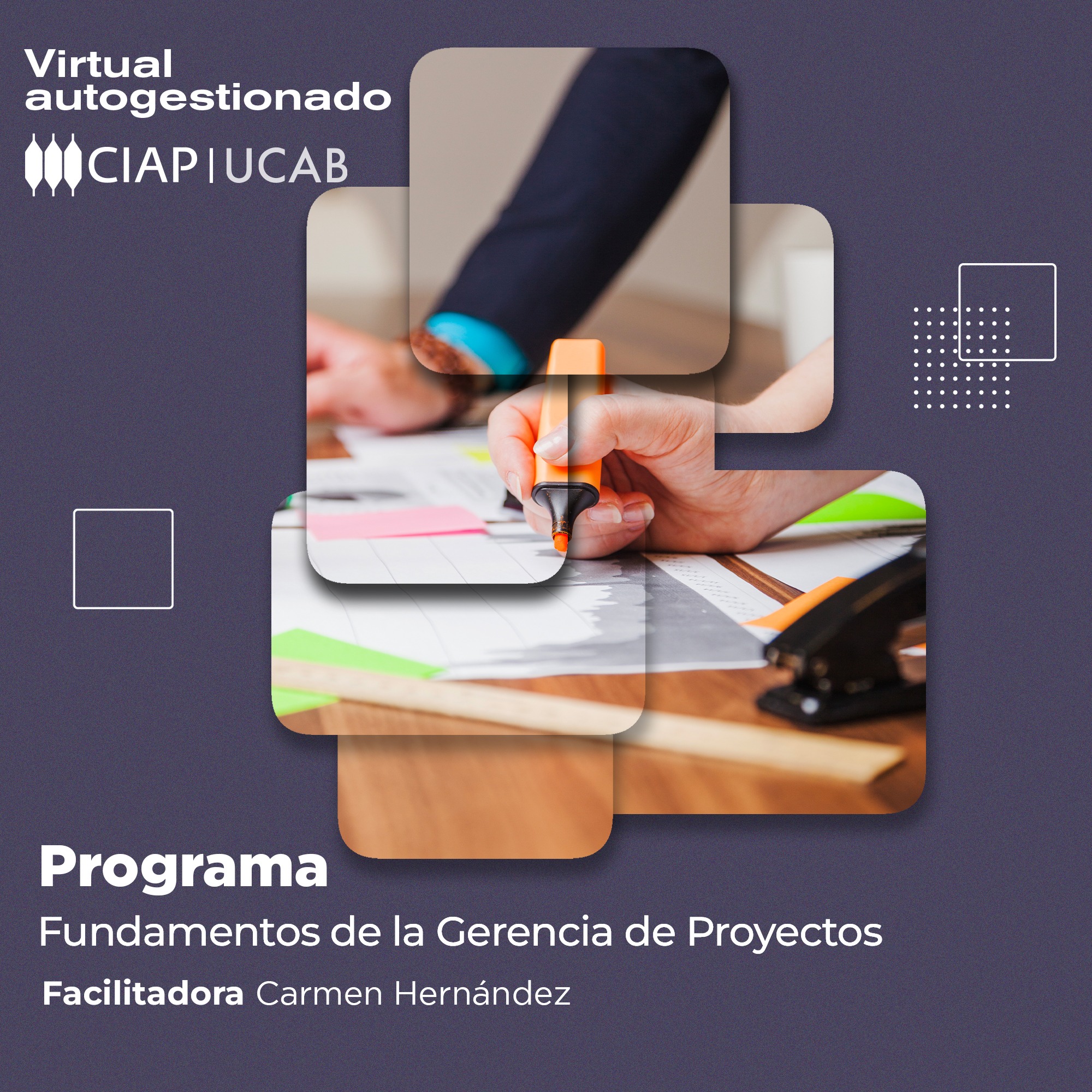 Programa. Fundamentos de la Gerencia de Proyectos.