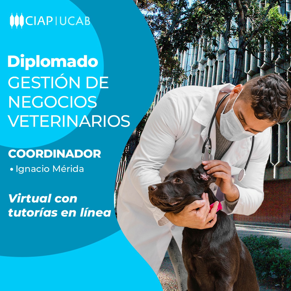 Diplomado. Gestión de Negocios Veterinarios.