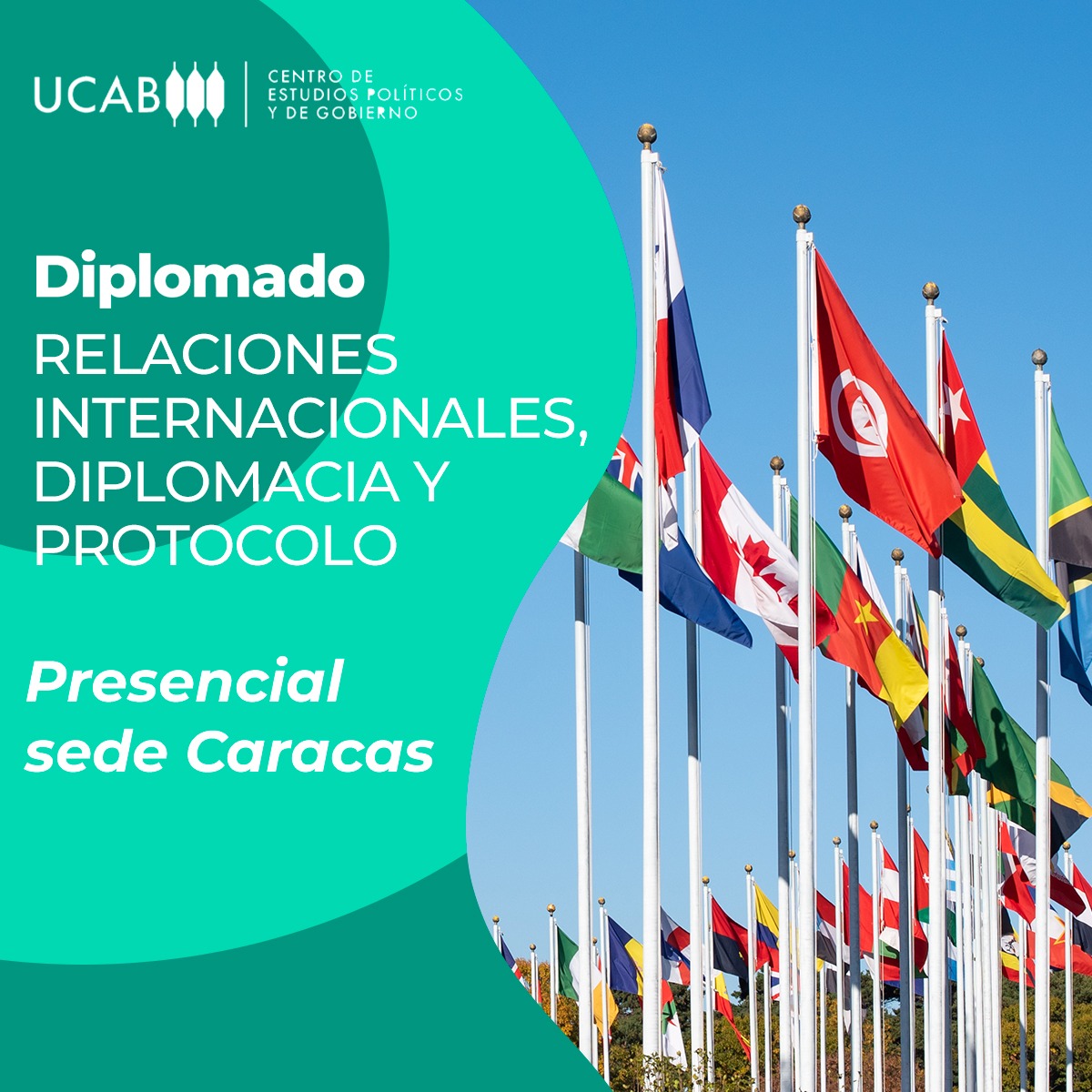 Diplomado. Relaciones internacionales, diplomacia y protocolo.