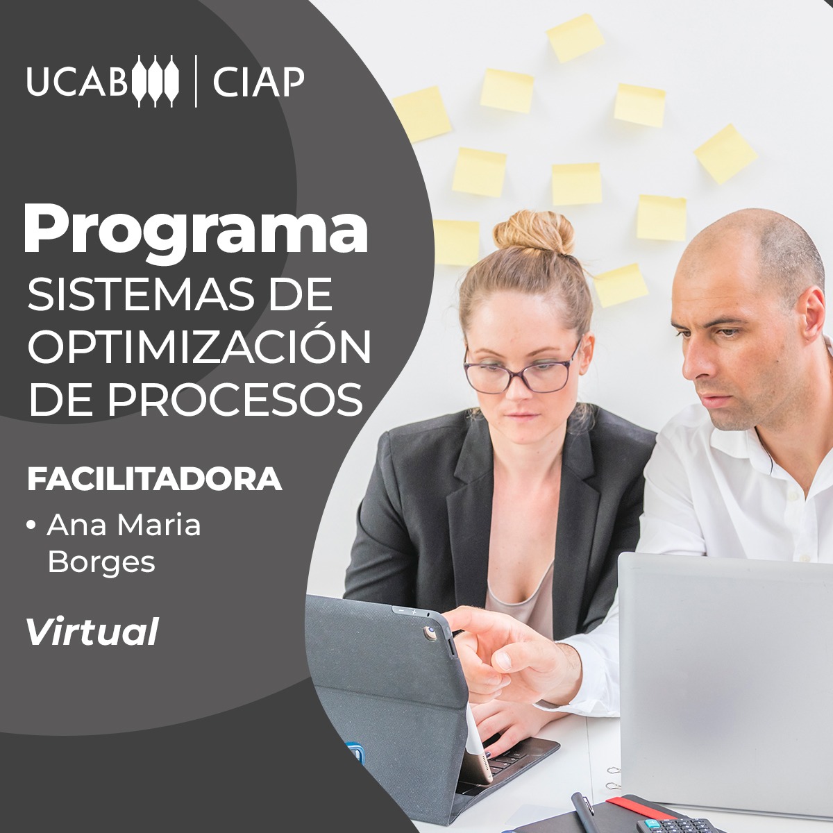 Programa de formación: Sistemas de optimización de procesos.